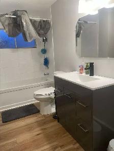 Newly Renovated All-Inclusive Home for Rent - Photo 7