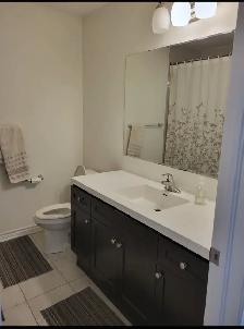 Single Bedroom for Rent in Milton (Male) - Photo 4