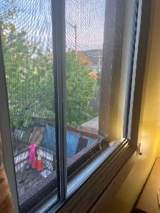 ROOM  for  RENT - Photo 10