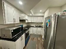Legal 2 Bedroom Basement for Rent – James Potter Rd & Alister Dr - Photo 7