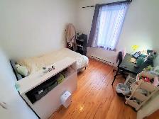 Large spacious bright 3 1/2 and 4 1/2 apt. in Sainte-Anne - Photo 5