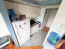 Large spacious bright 3 1/2 and 4 1/2 apt. in Sainte-Anne - Photo 9