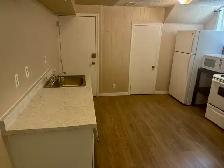 Newly Renovated 2-Bedroom Basement Suite in the Heart o - Photo 2