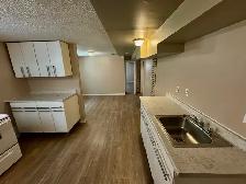 Newly Renovated 2-Bedroom Basement Suite in the Heart o - Photo 3