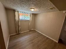 Newly Renovated 2-Bedroom Basement Suite in the Heart o - Photo 5