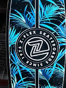 Z-Flex Longboard - Great Condition - Ready to Ride! - $100 - Photo 2