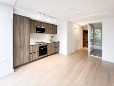 Downtown Toronto 1 1 Bed 1 Bath Condo For Rent at Dundas River - Photo 4