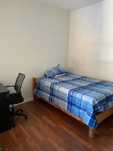 Cozy room in eastyork available from July 29th,single/couple, - Photo 3
