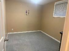 Basement for rent