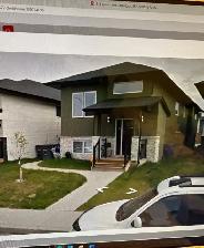Beautiful Bi-level style home for rent  in  Rosewood, Saskatoon