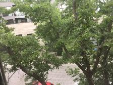 Metro: Place St. Henri $548 Room with Own Address & Mail Box etc - Photo 7