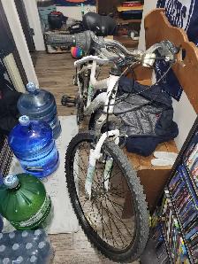 woman bike
