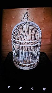 Vintage Decorative Birdcage
