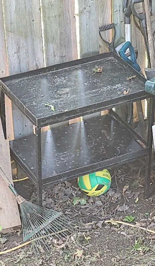 Metal Utility Cart