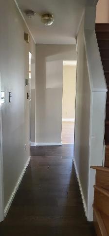 Cute 3 bdrm house in the Tree Streets with fridge, stove, washer - Photo 13