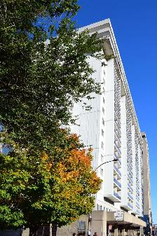 Appartement 4 1/2, PH -ACCÈS DIRECT METRO SHERBROOKE TOUT INCLUS - Photo 3