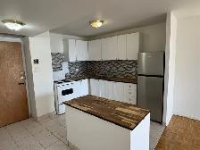 Appartement 4 1/2, PH -ACCÈS DIRECT METRO SHERBROOKE TOUT INCLUS - Photo 5
