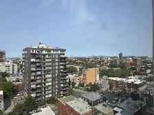 Appartement 4 1/2, PH -ACCÈS DIRECT METRO SHERBROOKE TOUT INCLUS - Photo 15