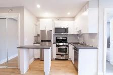 renovated studio apartment near blvd Saint-Laurent - ID 2823 - Photo 2