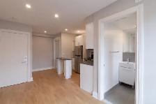 renovated studio apartment near blvd Saint-Laurent - ID 2823 - Photo 3