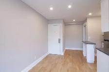renovated studio apartment near blvd Saint-Laurent - ID 2823 - Photo 5