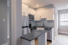 renovated studio apartment near blvd Saint-Laurent - ID 2823 - Photo 6