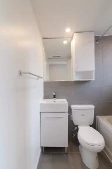 renovated studio apartment near blvd Saint-Laurent - ID 2823 - Photo 8