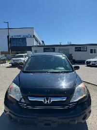 2009 Honda CR-V EX-L AWD : No Reported Accidents - Photo 2