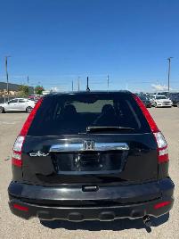 2009 Honda CR-V EX-L AWD : No Reported Accidents - Photo 5