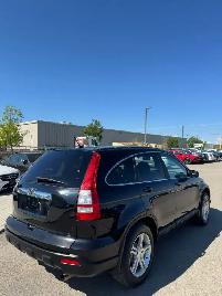 2009 Honda CR-V EX-L AWD : No Reported Accidents - Photo 6