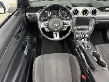 Ford Mustang Cabriolet - Convertible EcoBoost 2018 à vendre - Photo 22