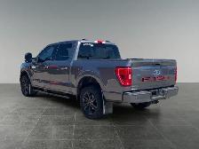 2021 Ford F-150 XL - Photo 4