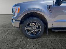 2021 Ford F-150 XL - Photo 11