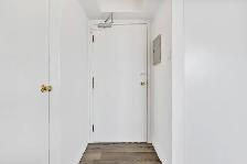 80 Florence Street (Unit 706) - Studio - Available from Septembe - Photo 3