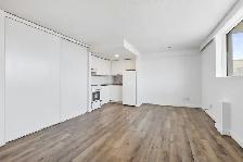 80 Florence Street (Unit 706) - Studio - Available from Septembe - Photo 5