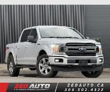 2019 Ford F-150 XLT 5.0L Coyote - Photo 3