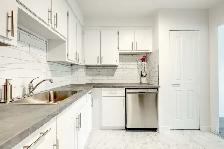 Beautiful 1 bedroom apartment  - Near Cote Vertu Station Subway - Photo 3