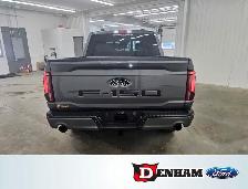 Lariat, 3.5L, HYBRID, 502a,360 Camera, FX4 - Photo 4