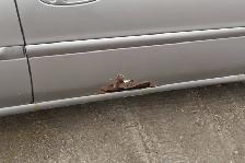 1999 Chevrolet Malibu - Photo 36