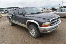 2003 Dodge Dakota - Photo 4