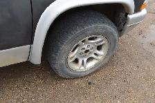 2003 Dodge Dakota - Photo 33