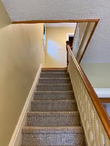 Whole House For Rent - Photo 7