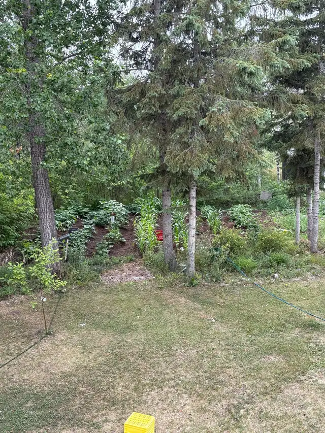 2 bedroom house for rent