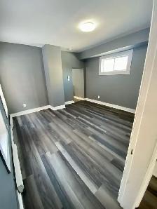 3 bed / 1 bath Apartment Uptown. (Heat & Lights Included) - Photo 5