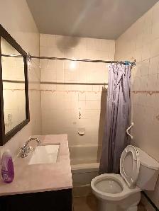 3 Bedrooms Apartment Montreal Ontario East QC - Photo 6