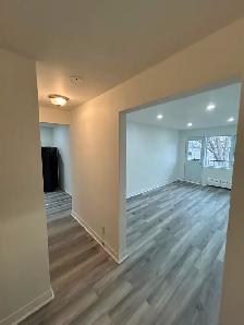 4 1/2 Apt LIBRE   Visite VENDREDI entre 11:00 et 3:00