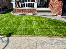 lawn care