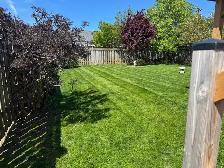 lawn care - Photo 2