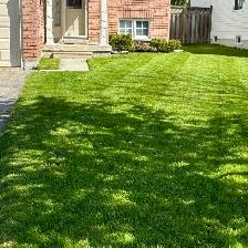 lawn care - Photo 3