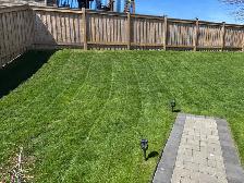 lawn care - Photo 4